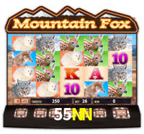 Bônus Generosos e Exclusivos no 55NN para Você!